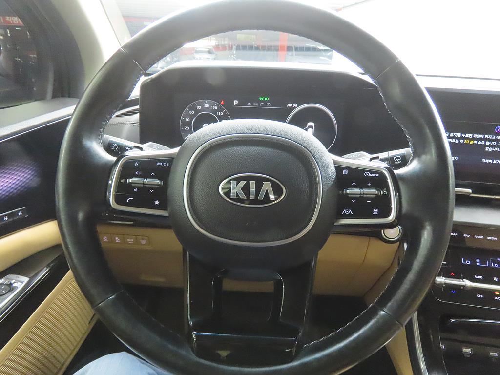 KIA Carnival - Vista 8
