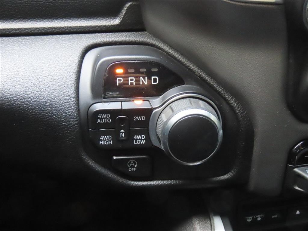 DODGE Rampic Up - Vista 11