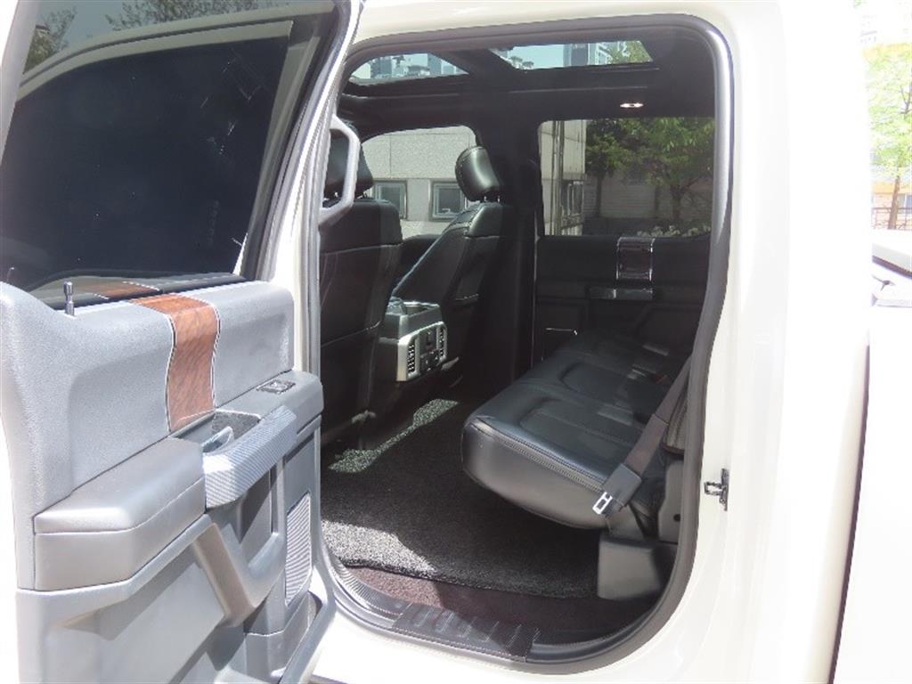Ford F-Series - Vista 7