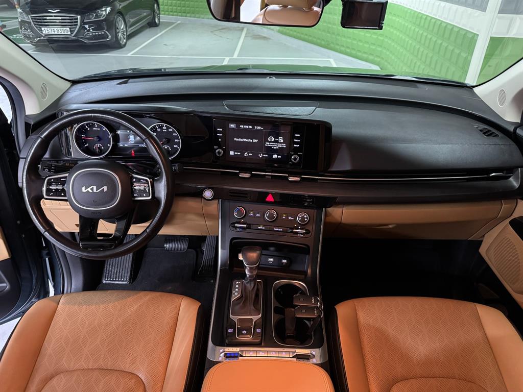 KIA Carnival - Vista 8