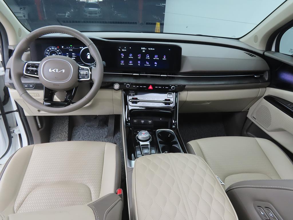 KIA Carnival - Vista 8
