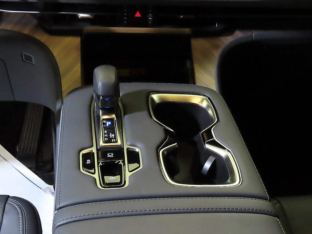 Lexus LM - Vista 12