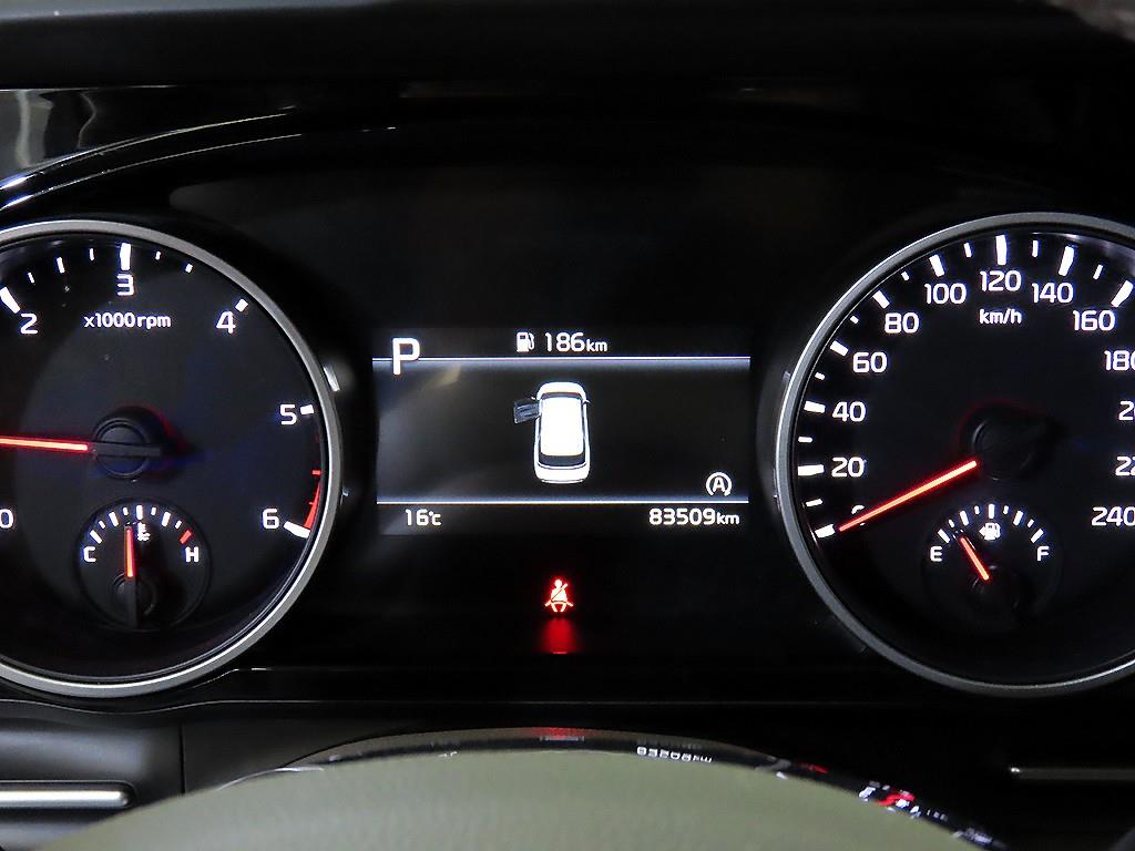 KIA Carnival - Vista 9