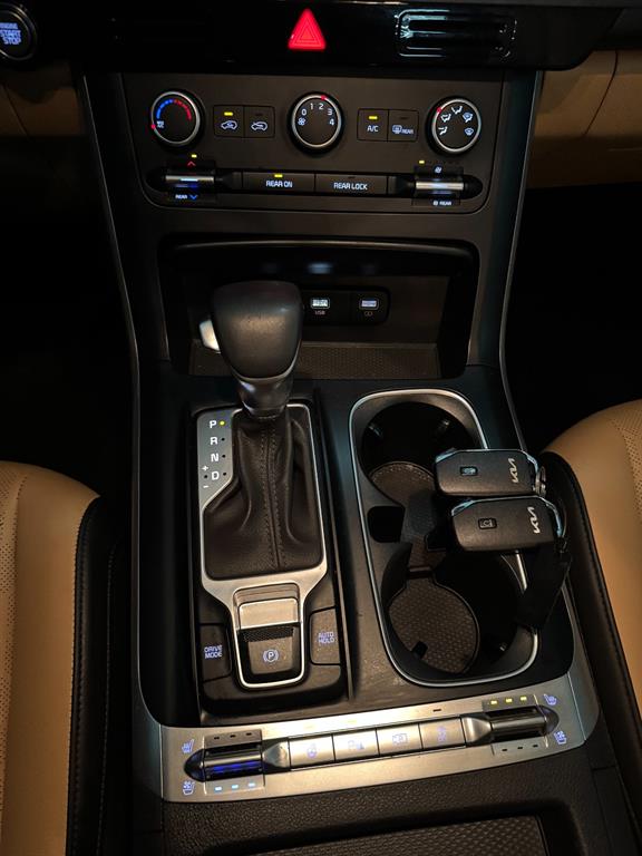 KIA Carnival - Vista 12