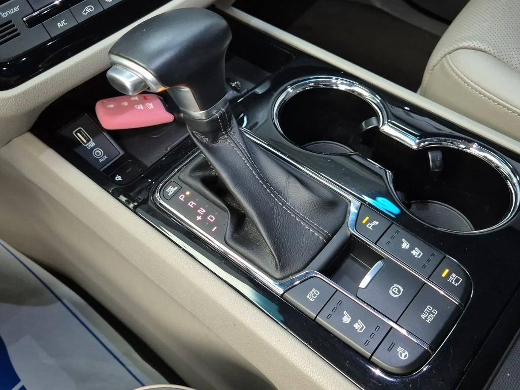 KIA Carnival - Vista 8