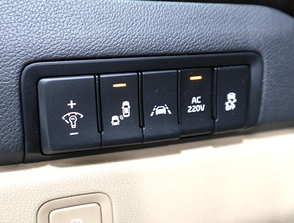 KIA Carnival - Vista 12