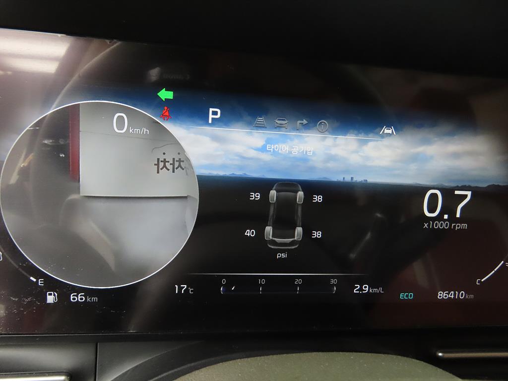 KIA Carnival - Vista 11
