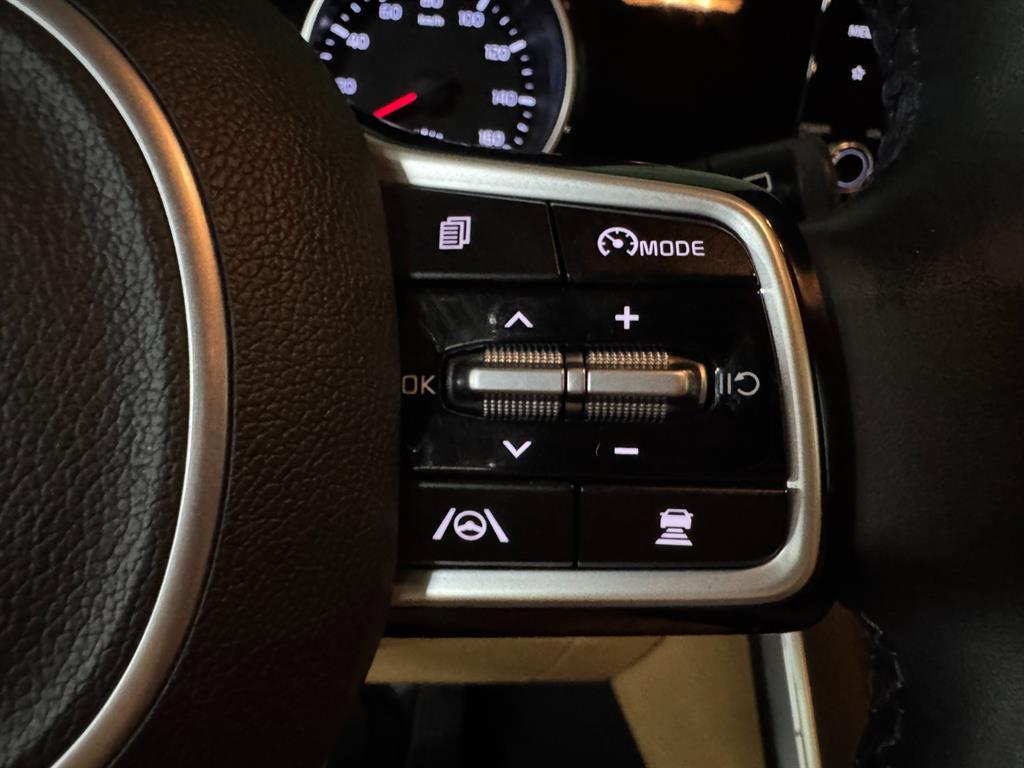 KIA Carnival - Vista 11