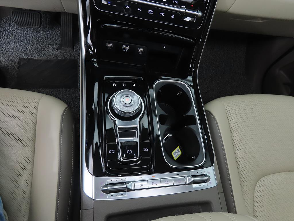 KIA Carnival - Vista 12