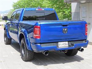 DODGE Rampic Up - Vista 8