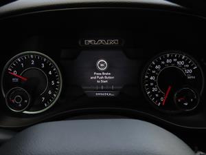 DODGE Rampic Up - Vista 10