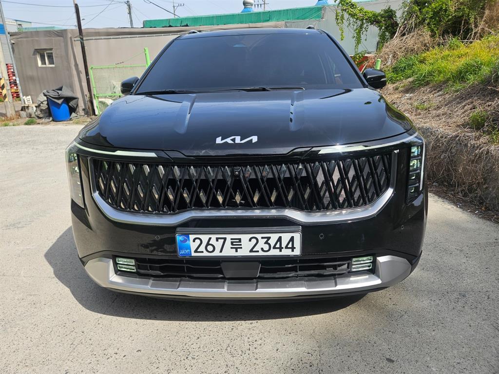 KIA Carnival - Vista 2