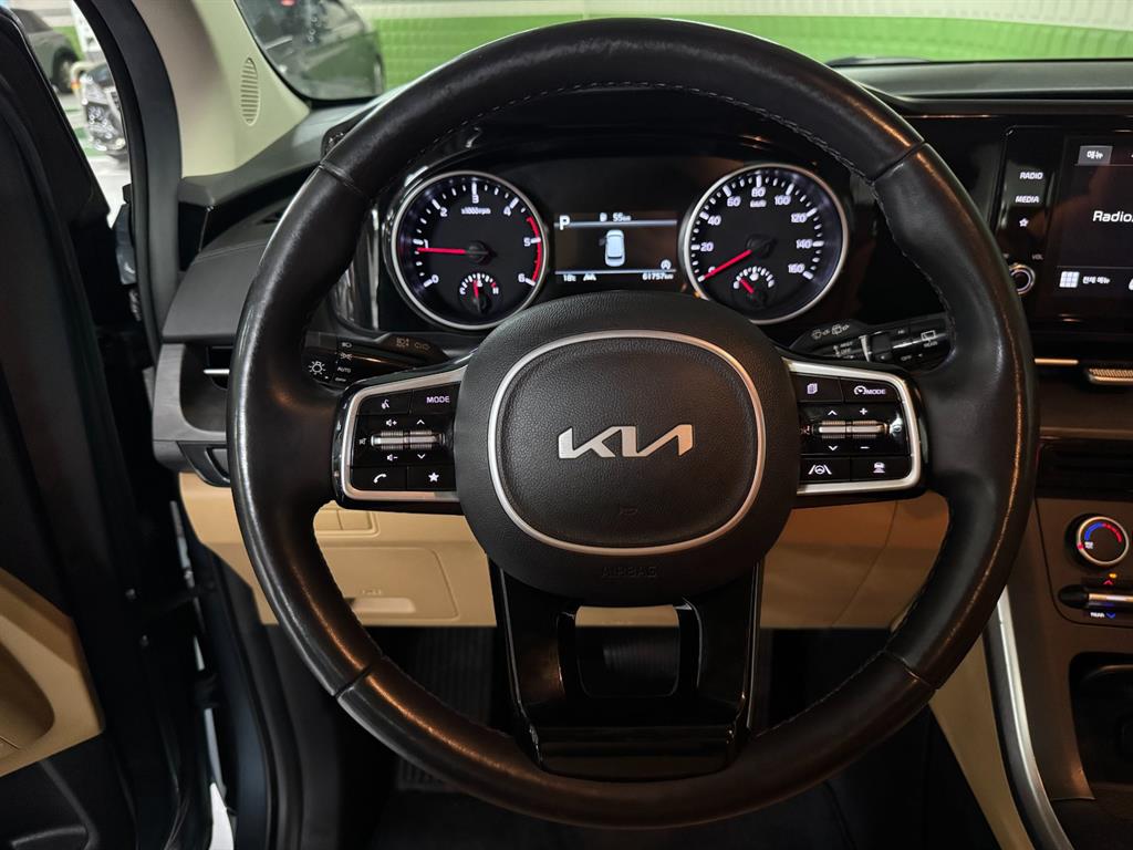 KIA Carnival - Vista 10