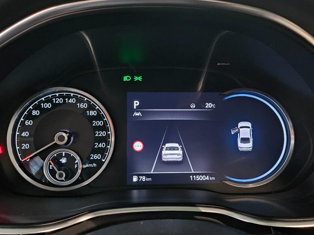 Genesis G80 - Vista 9