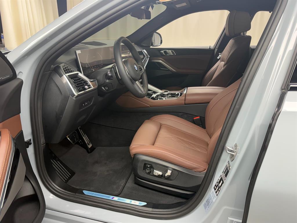 BMW X6 - Vista 10