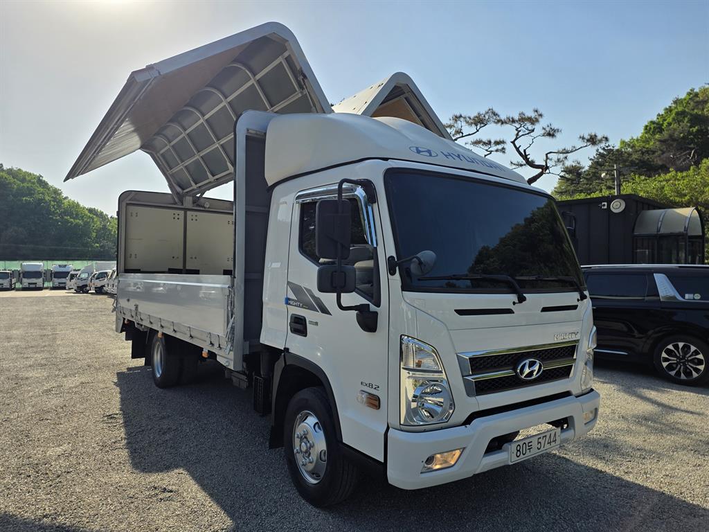 medium and large cargo truck - Vista 8