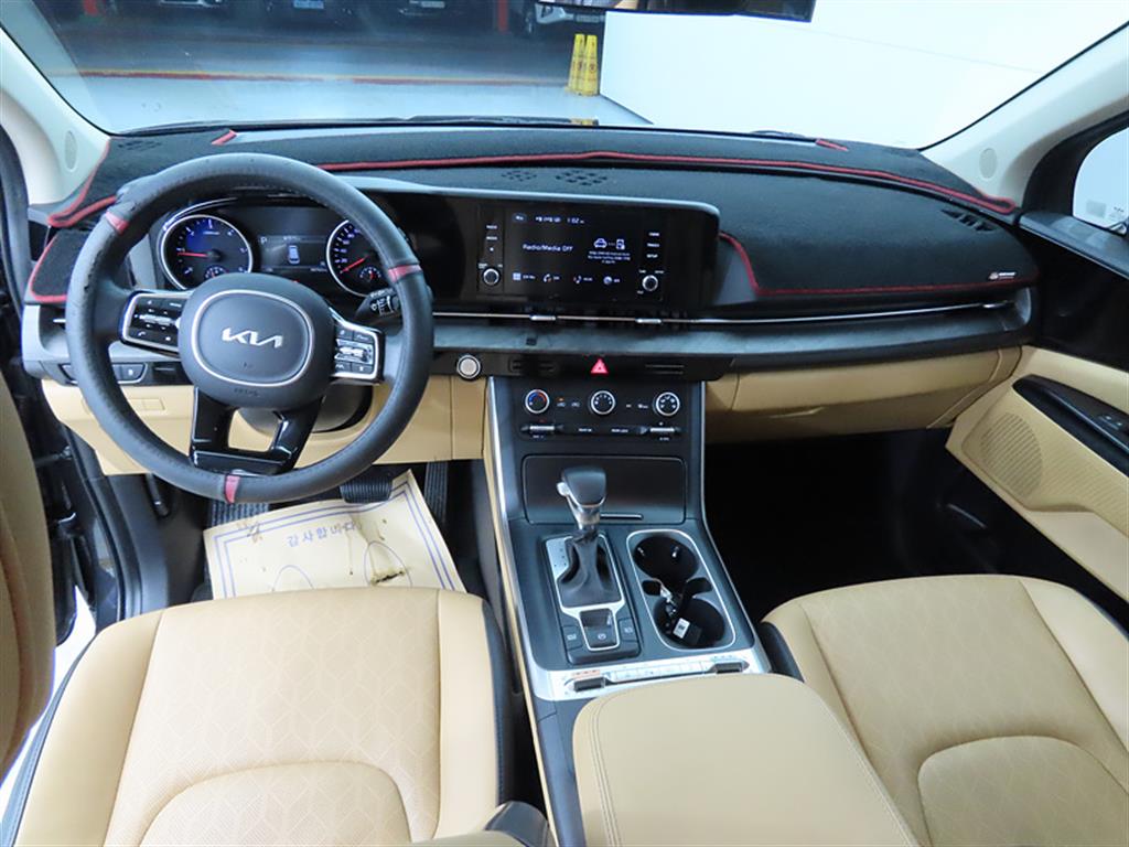 KIA Carnival - Vista 7