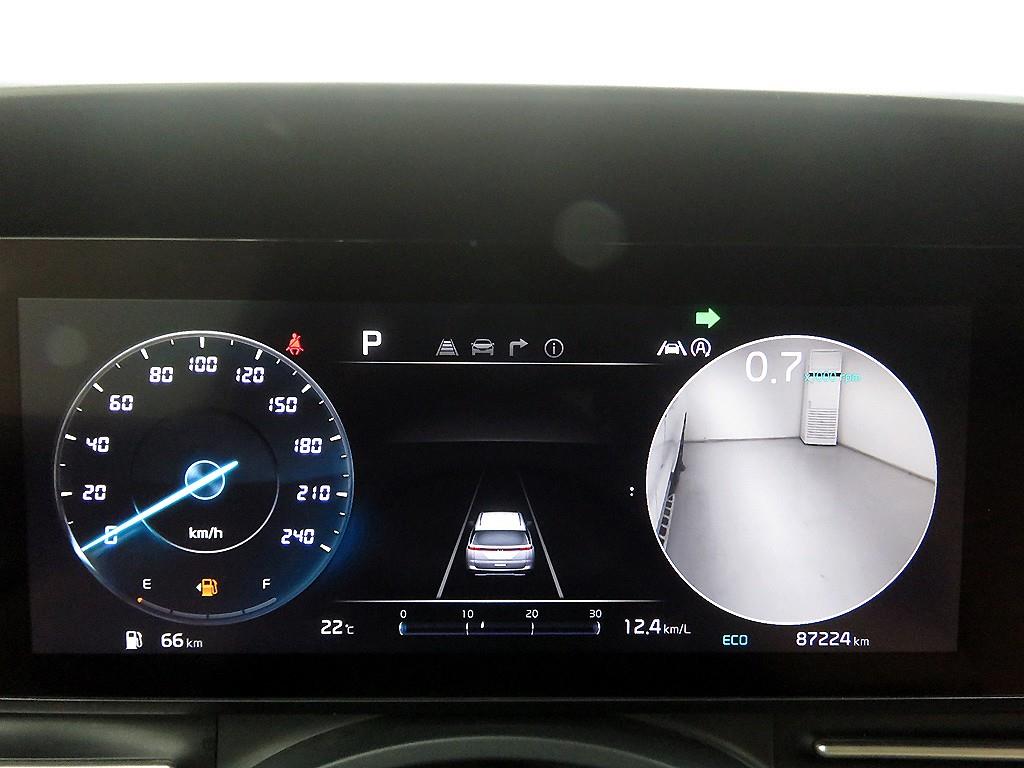 KIA Carnival - Vista 12