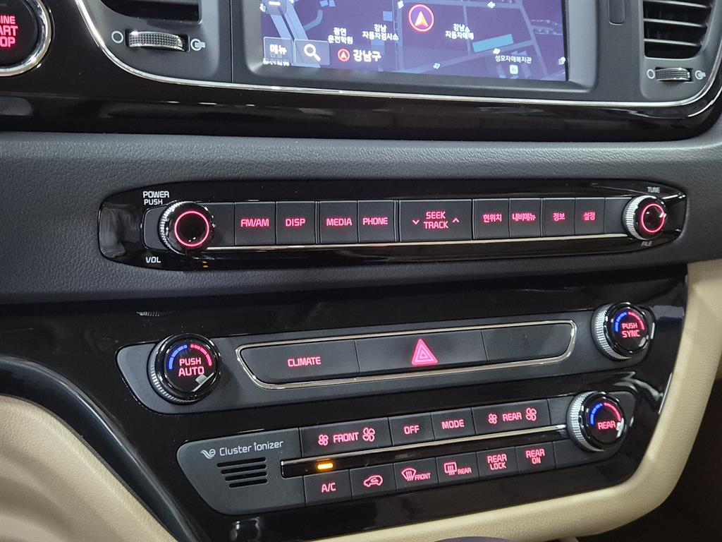 KIA Carnival - Vista 10