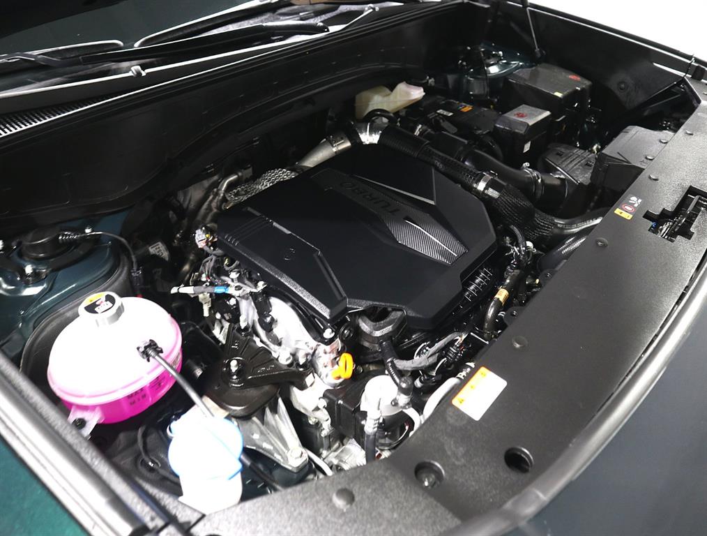HYUNDAI Palisade - Vista 6