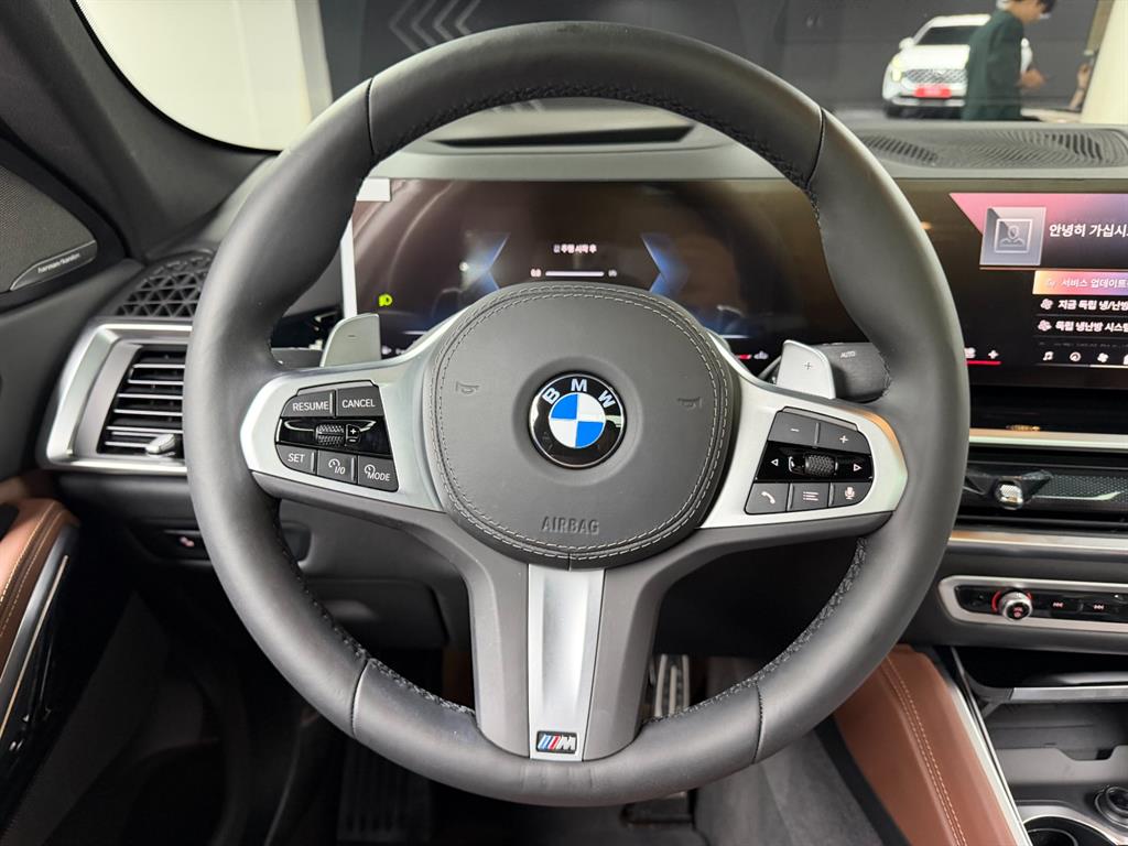 BMW X6 - Vista 8