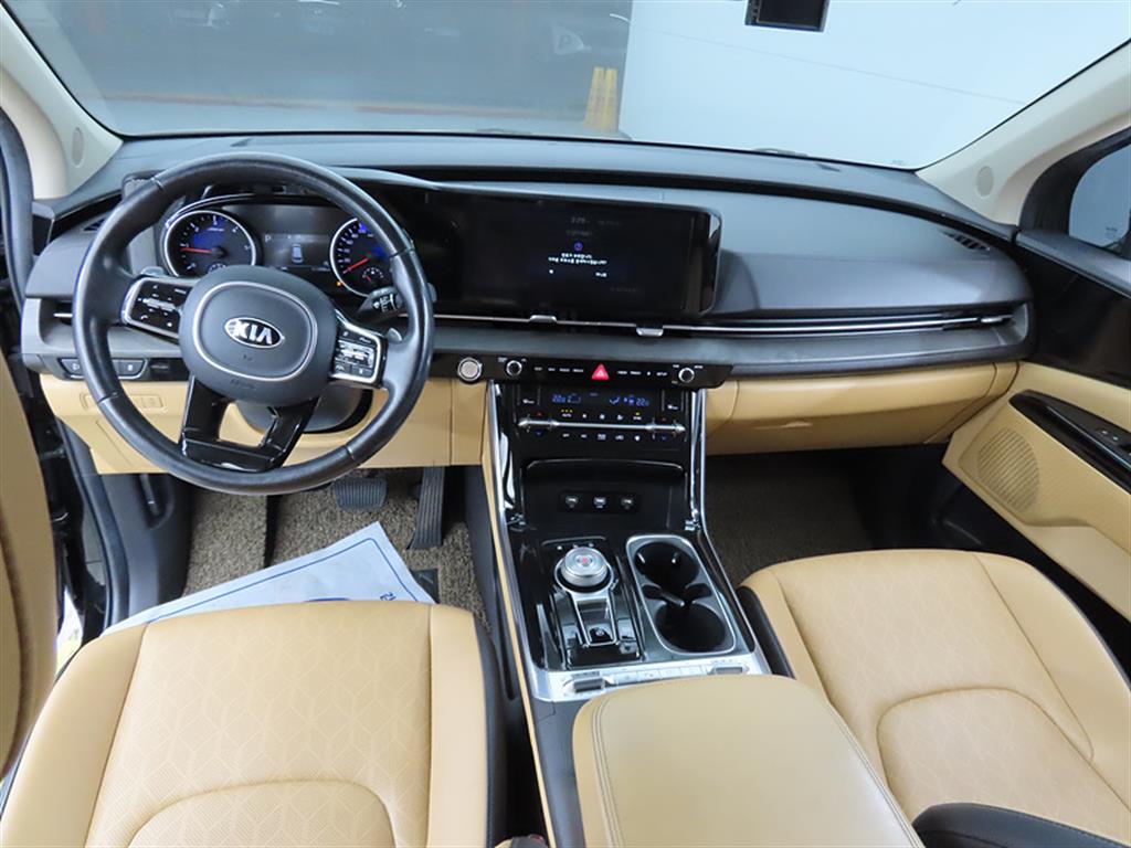 KIA Carnival - Vista 7