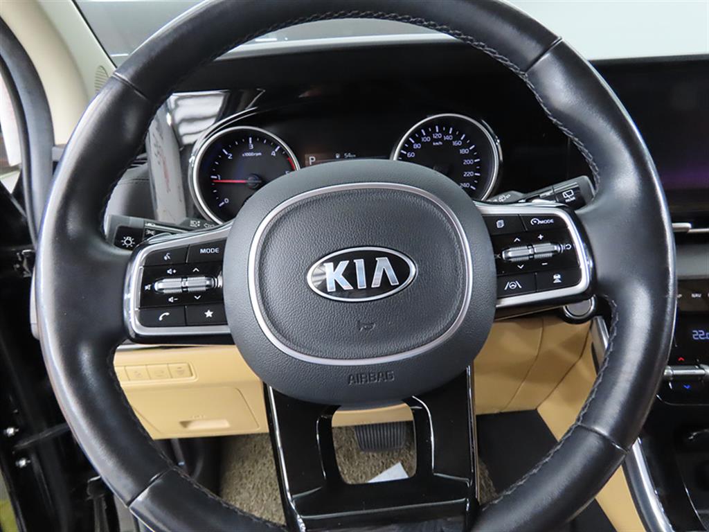KIA Carnival - Vista 8
