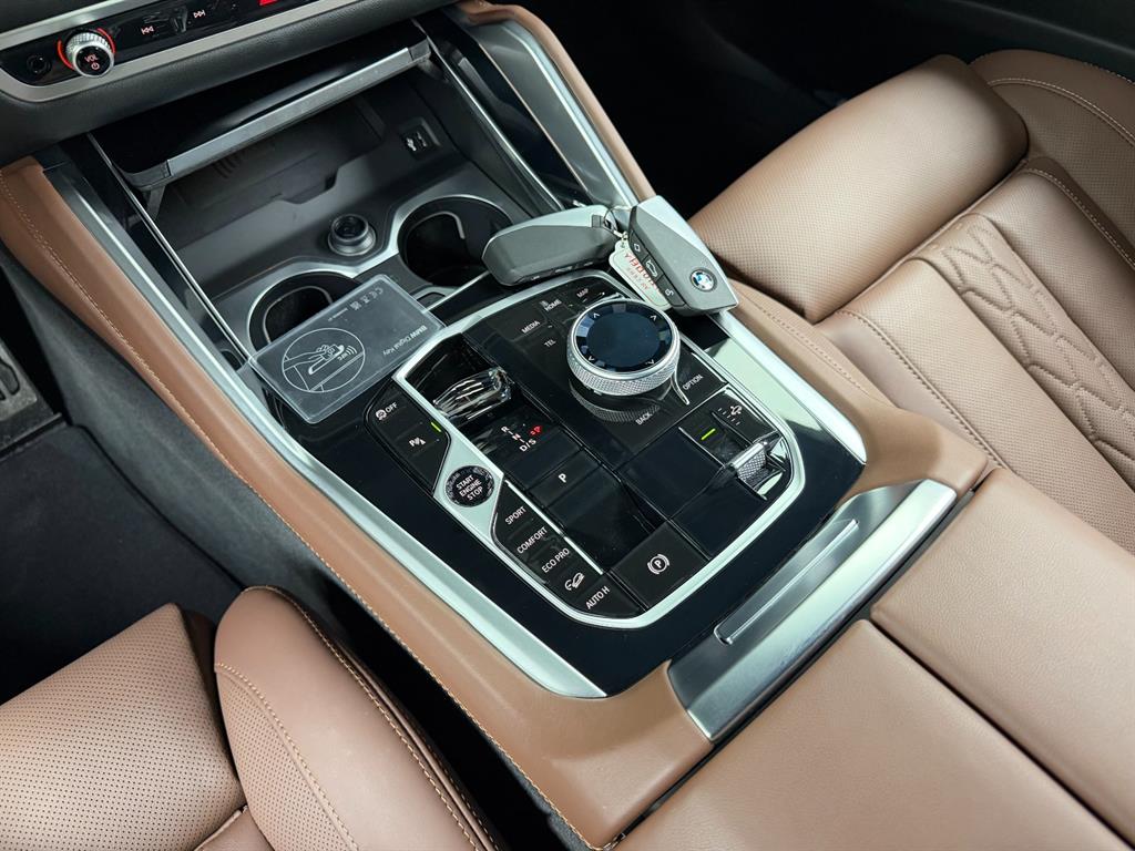 BMW X6 - Vista 12