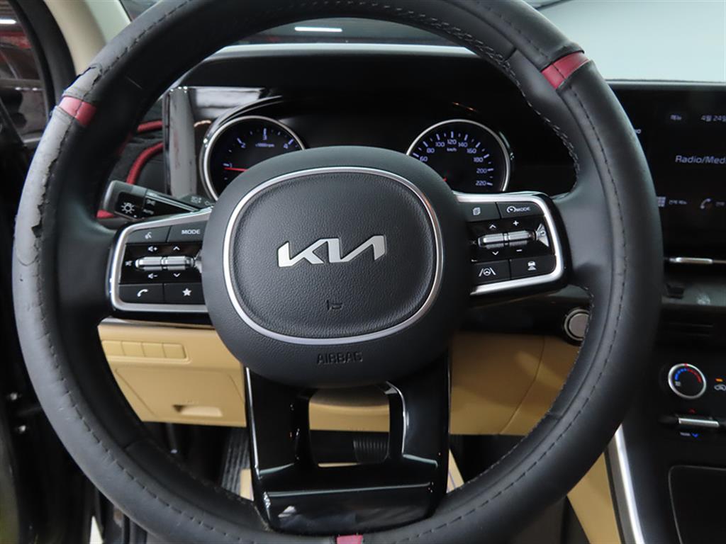 KIA Carnival - Vista 8