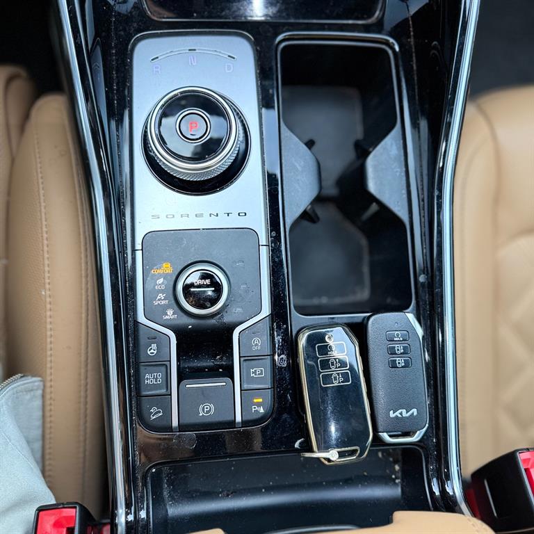 KIA Sorento - Vista 12