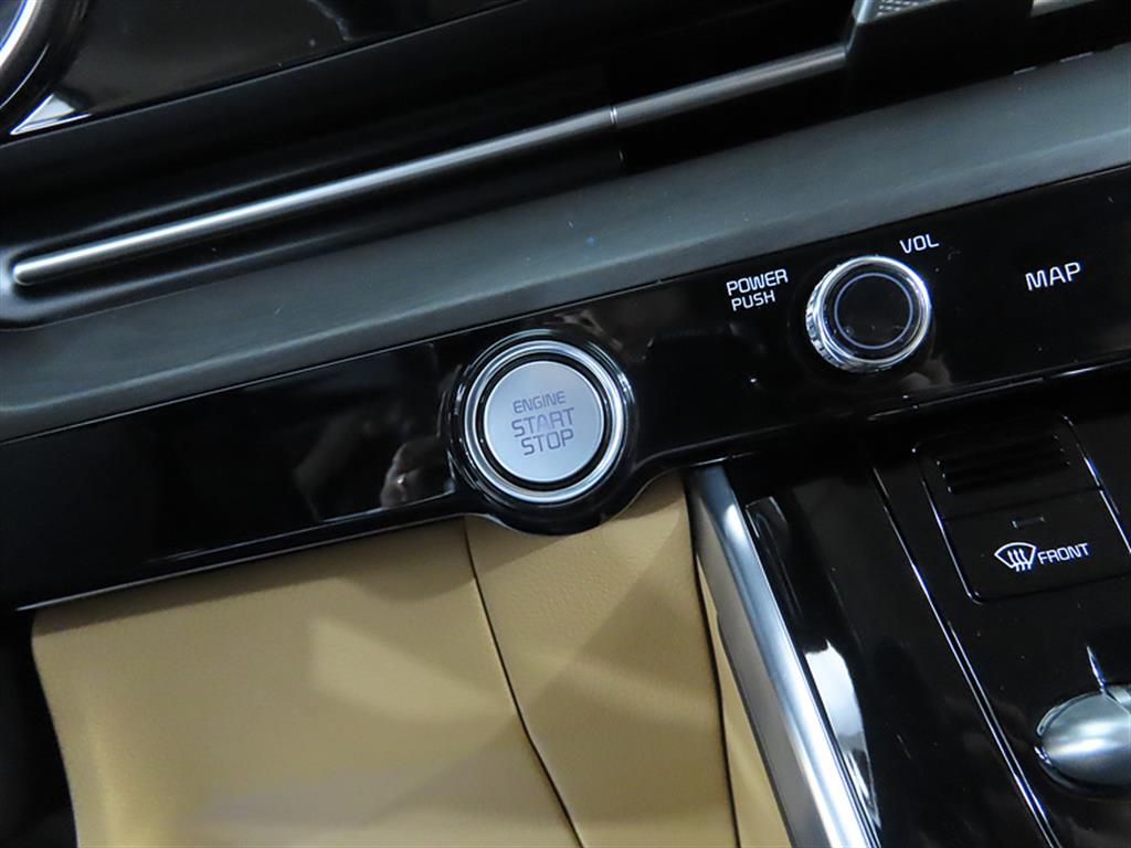 KIA Carnival - Vista 10