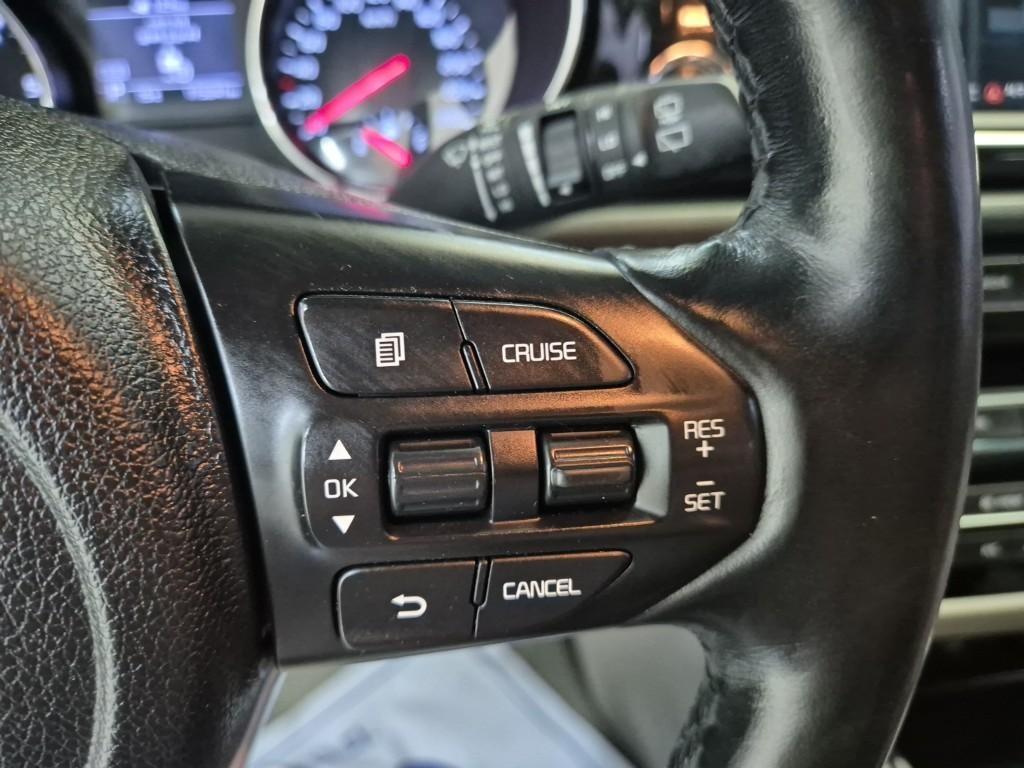 KIA Carnival - Vista 12