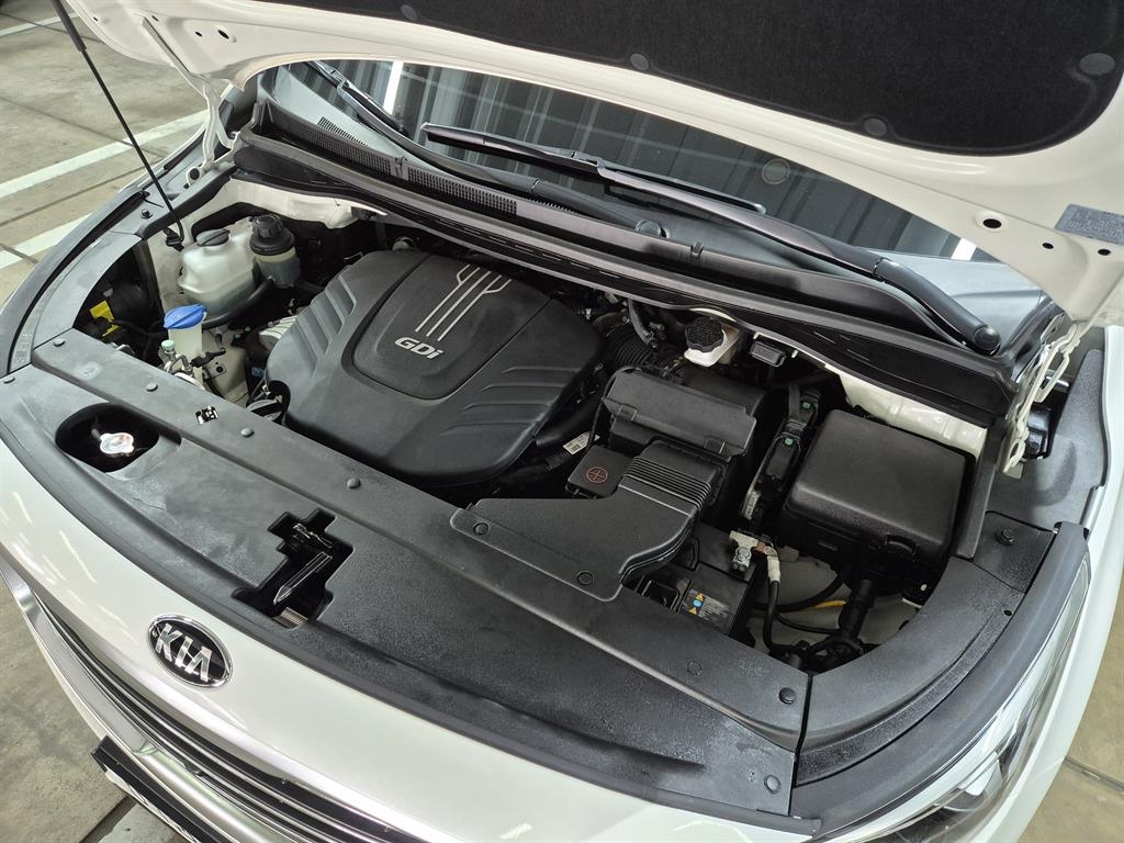 KIA Carnival - Vista 7
