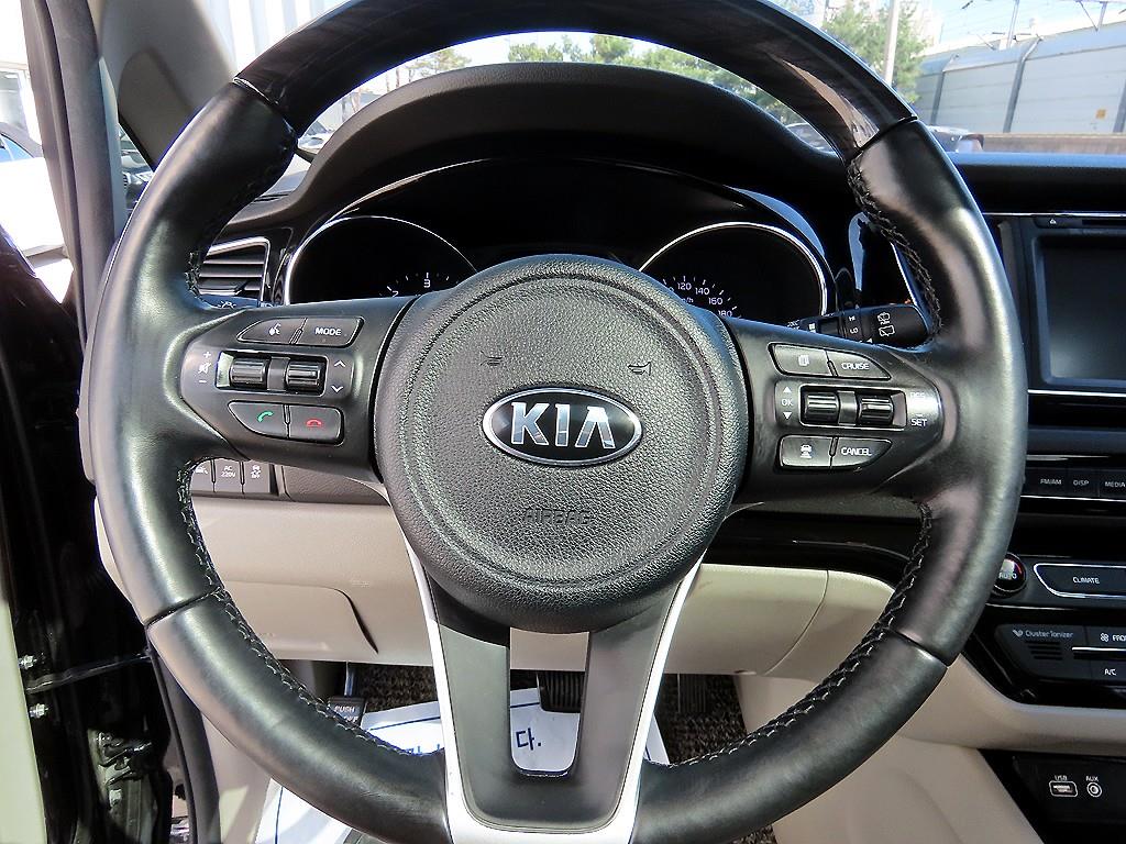 KIA Carnival - Vista 8