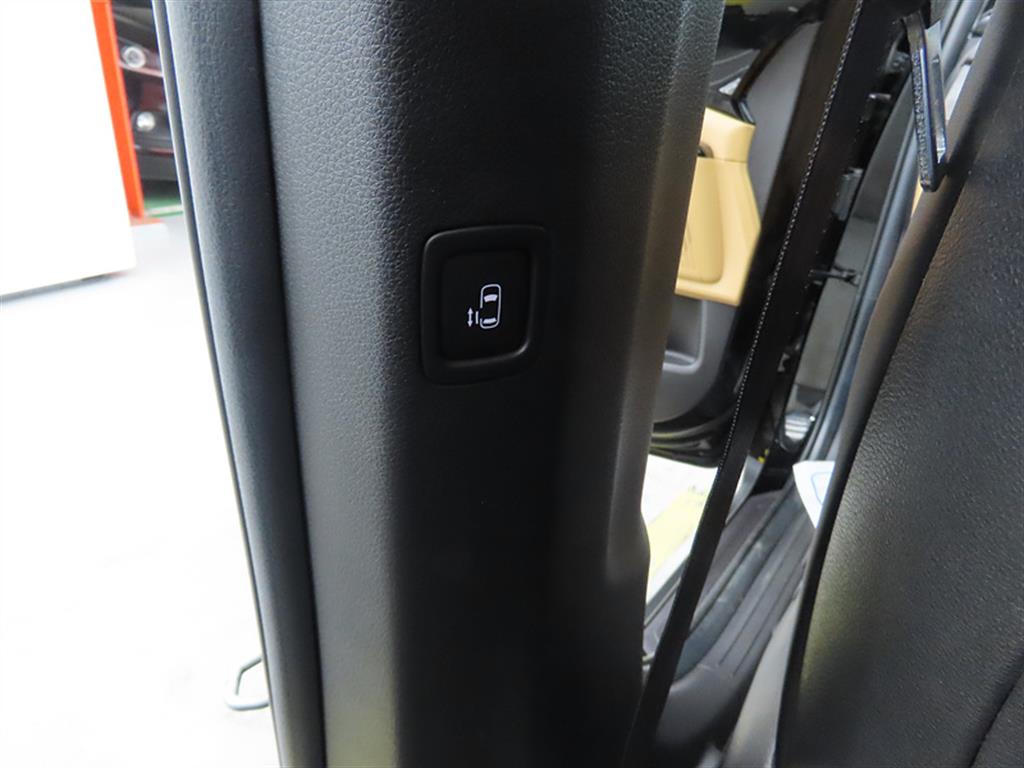 KIA Carnival - Vista 12
