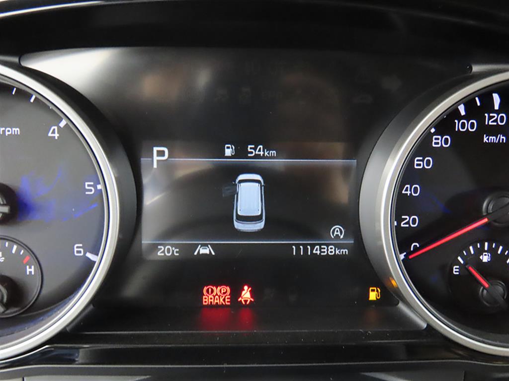 KIA Carnival - Vista 9