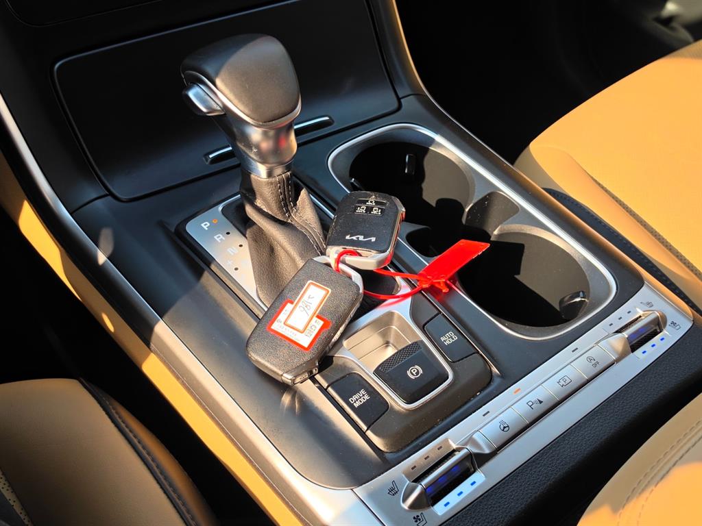 KIA Carnival - Vista 12