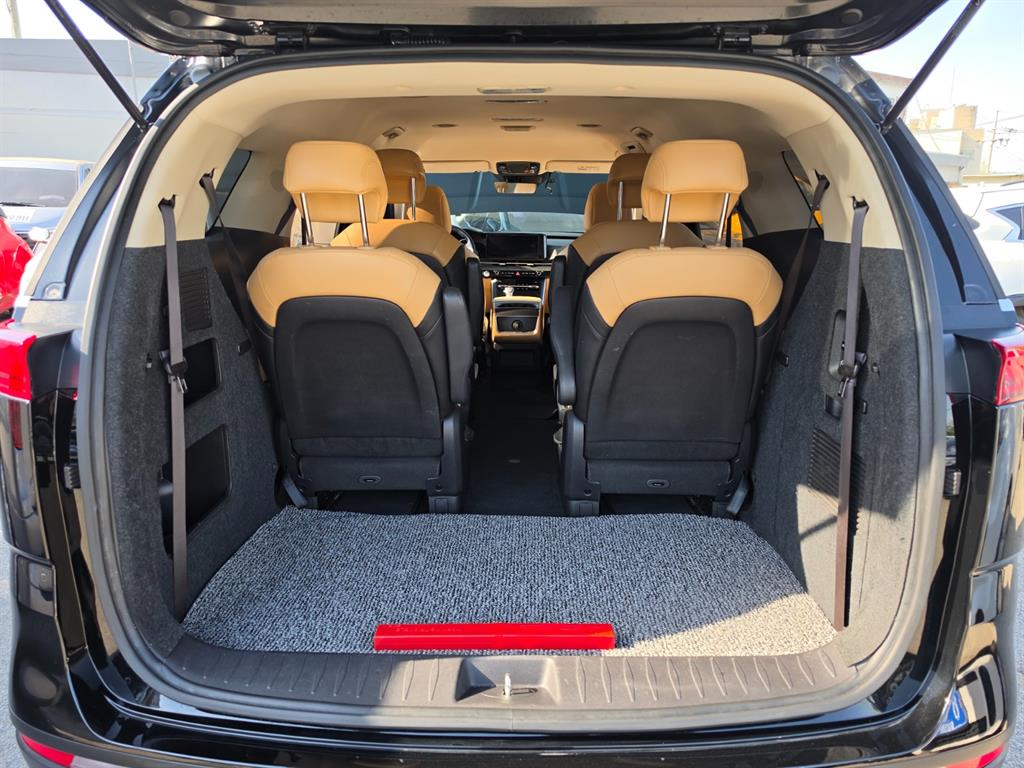 KIA Carnival - Vista 10