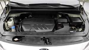 KIA Carnival - Vista 12