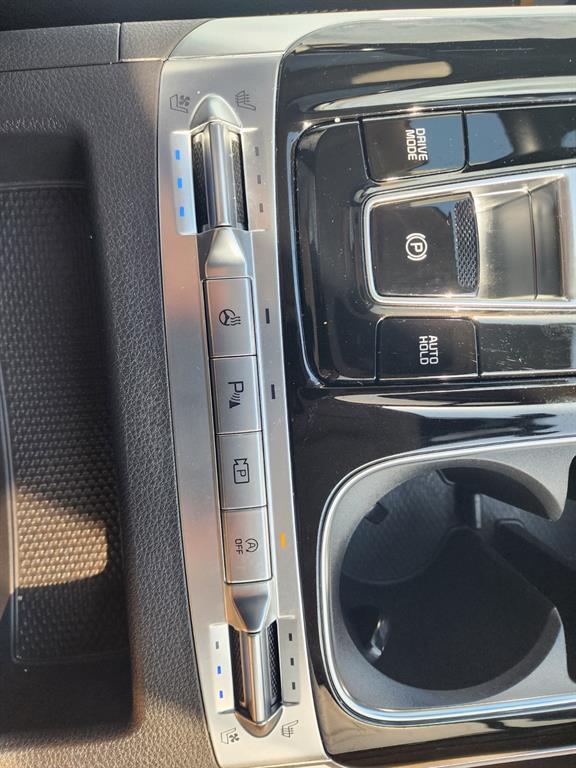 KIA Carnival - Vista 11