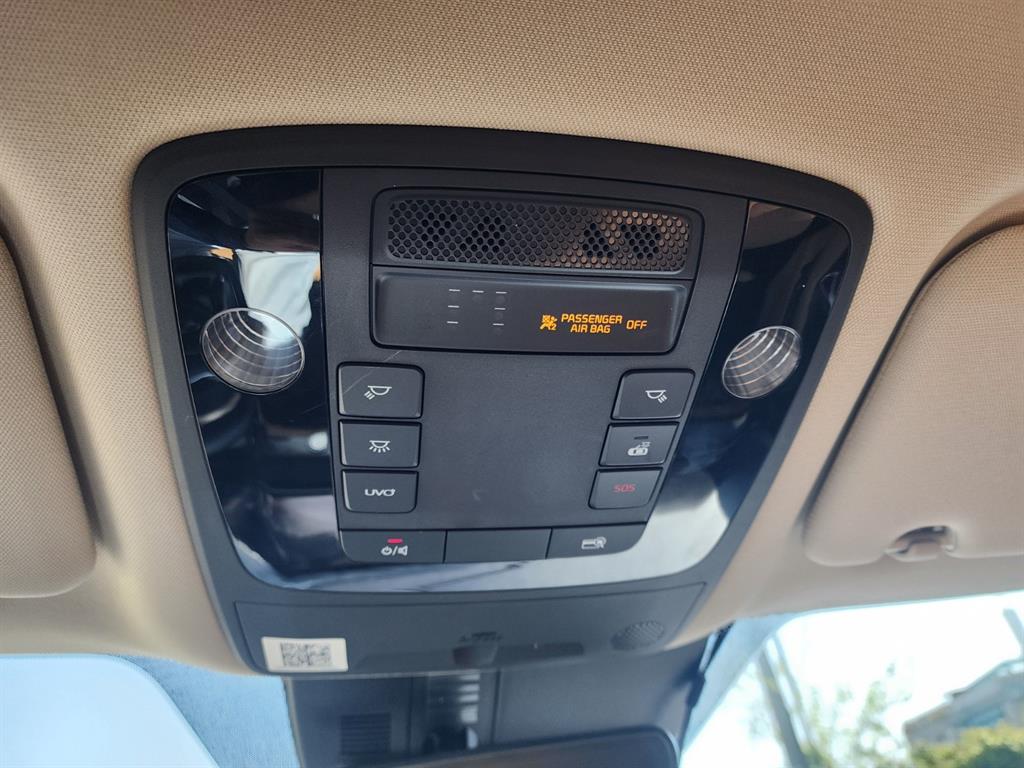 KIA Carnival - Vista 7