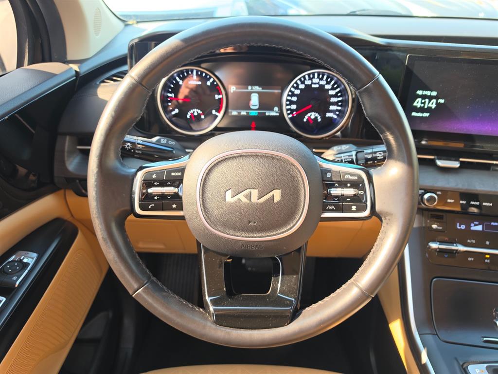 KIA Carnival - Vista 11