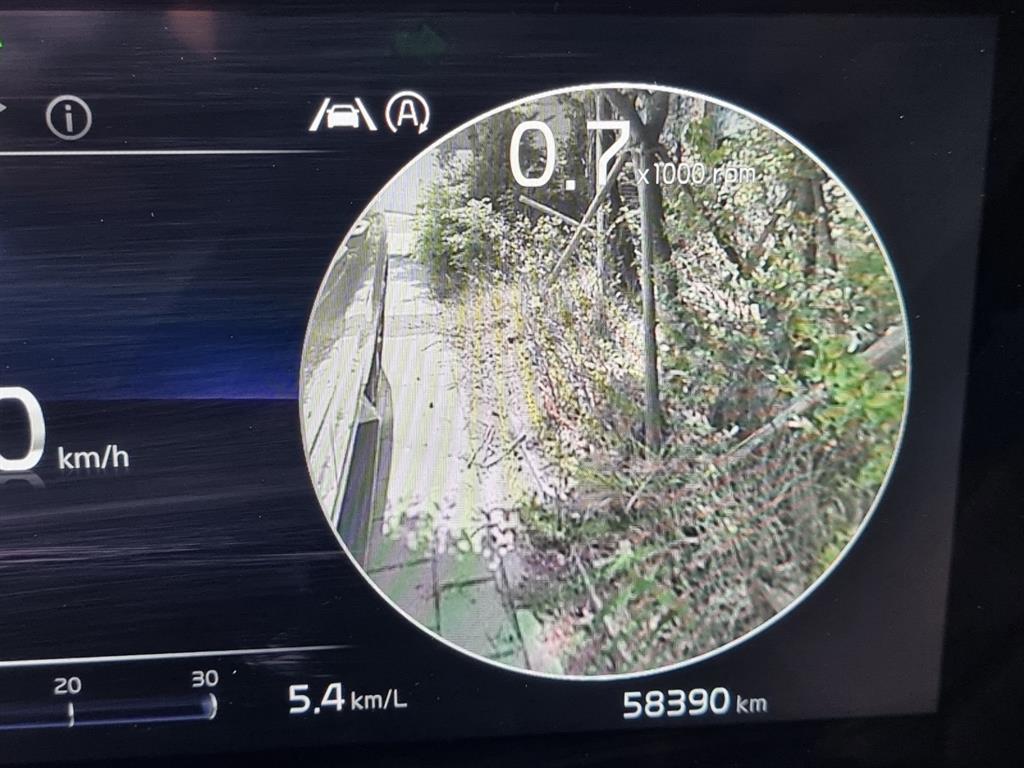 KIA Carnival - Vista 5