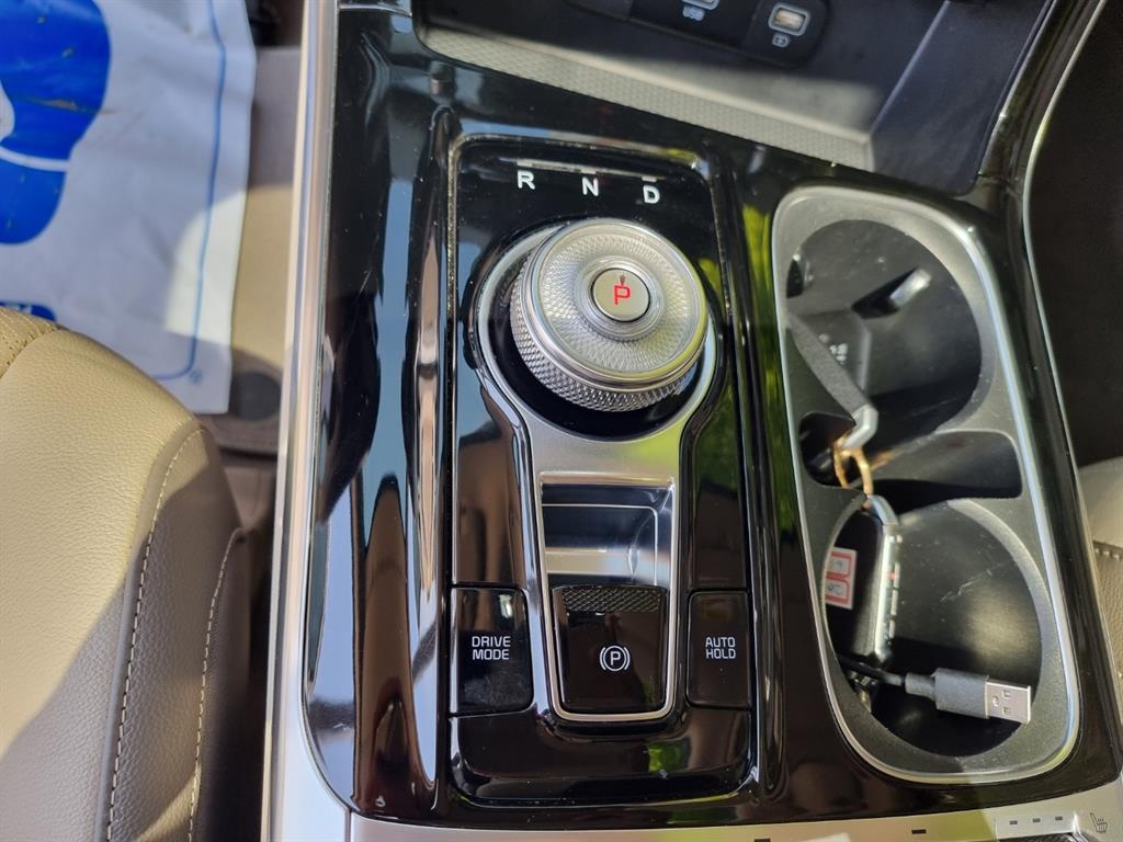 KIA Carnival - Vista 8