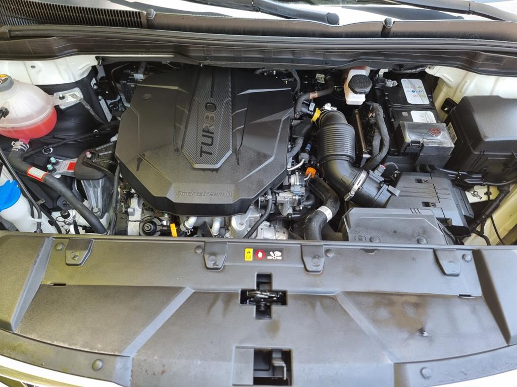 KIA Carnival - Vista 6