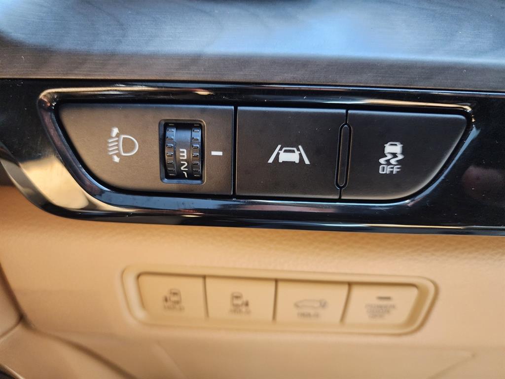 KIA Carnival - Vista 8