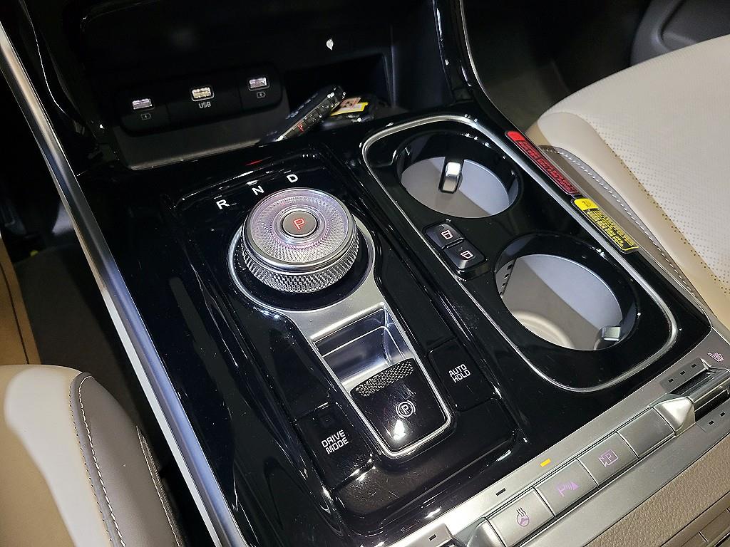 KIA Carnival - Vista 12