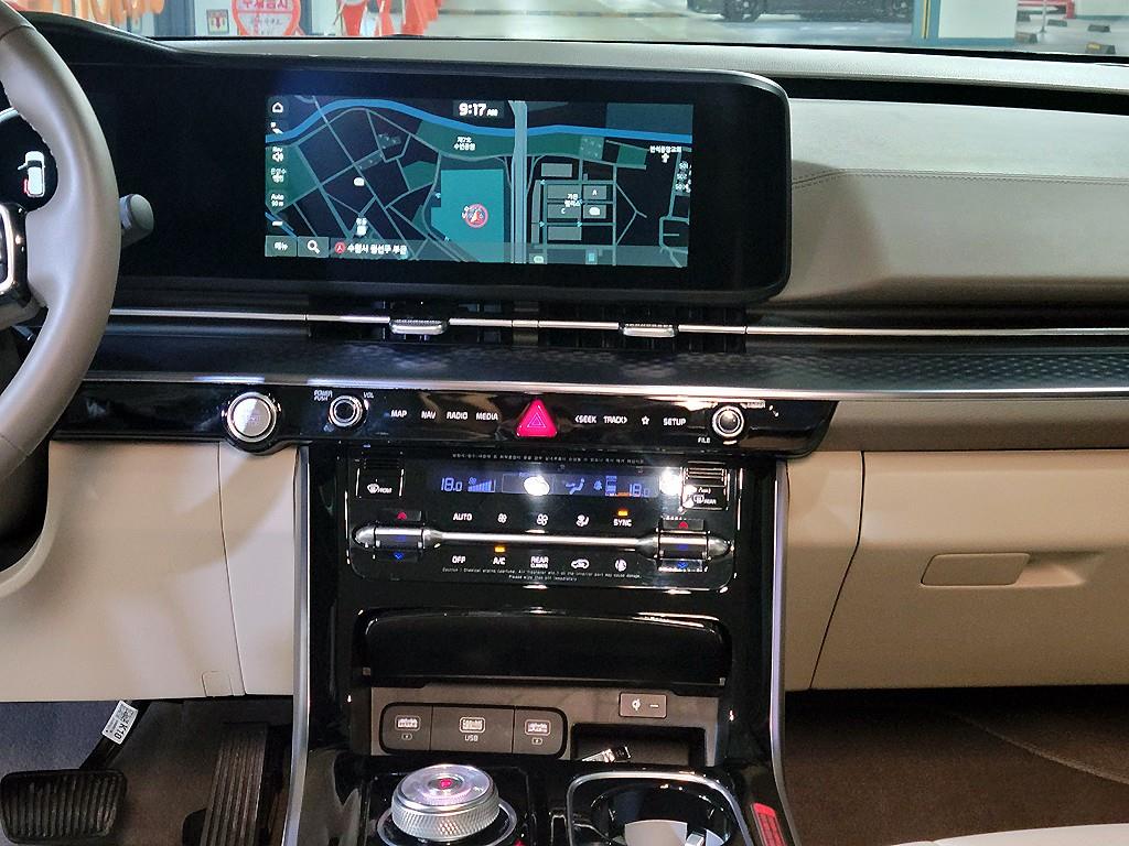 KIA Carnival - Vista 11