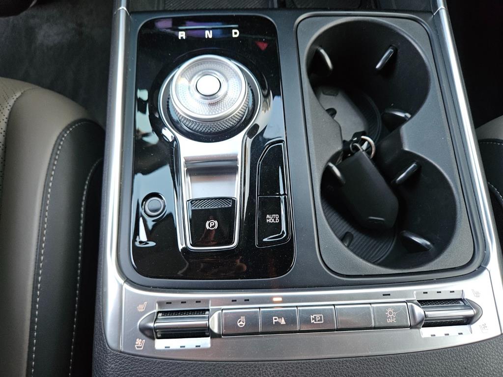 KIA Carnival - Vista 12