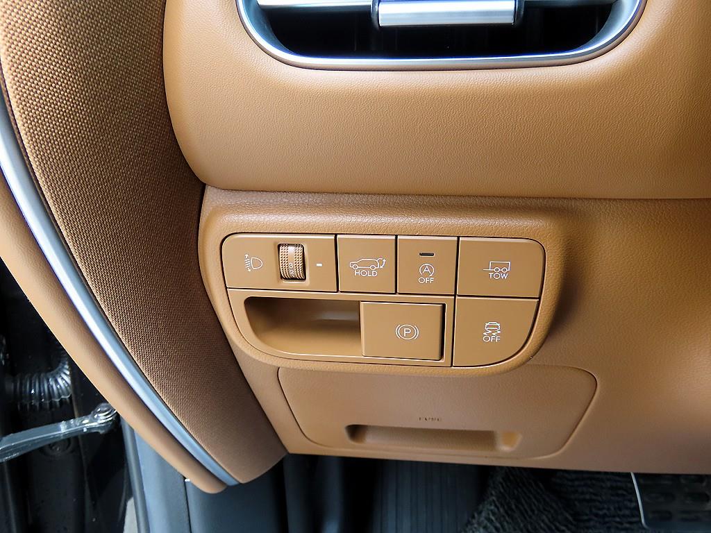 HYUNDAI Palisade - Vista 12
